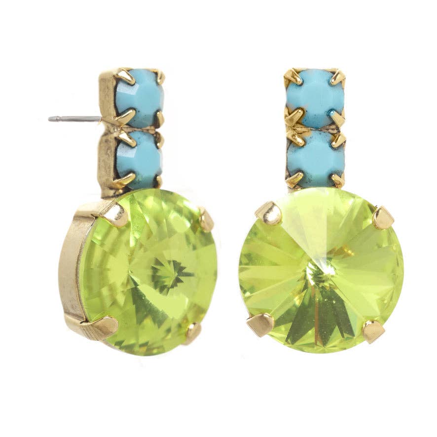 Watermelon & Citrus Earrings
