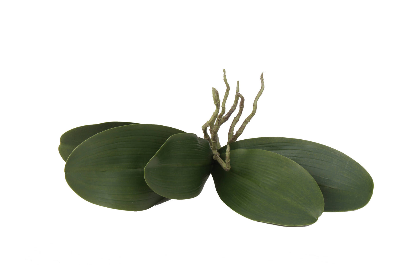 10.6" Artificial Orchid Leaves x5 Stems (12 pcs Per Box)