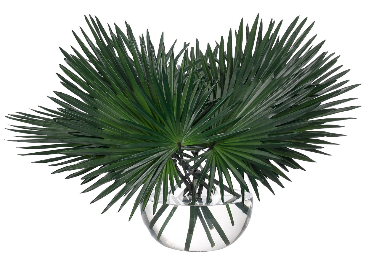 Fan Palm 28"