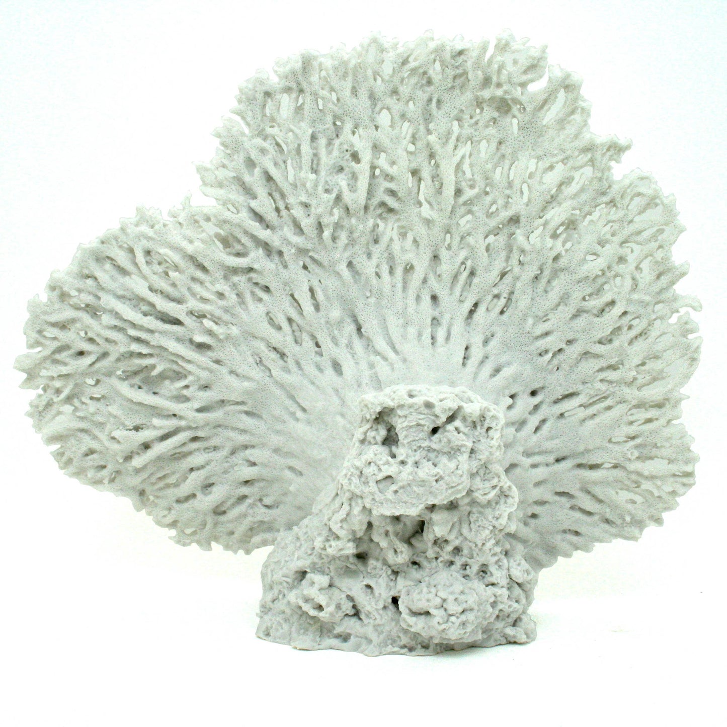 White Standing Table Coral