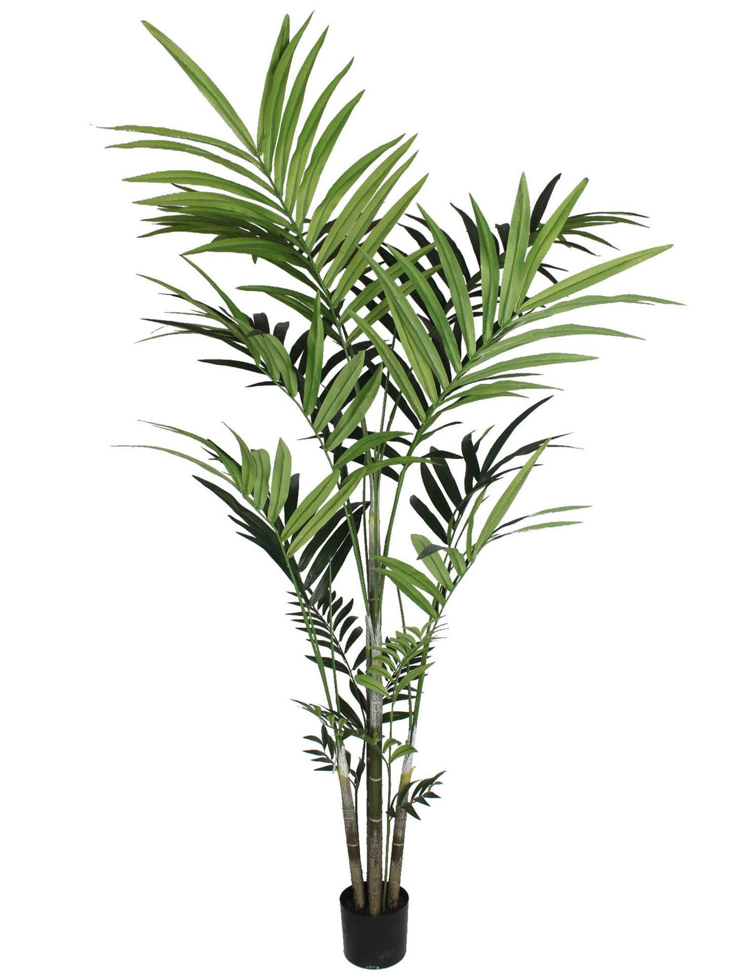 Palm Tree - 7'