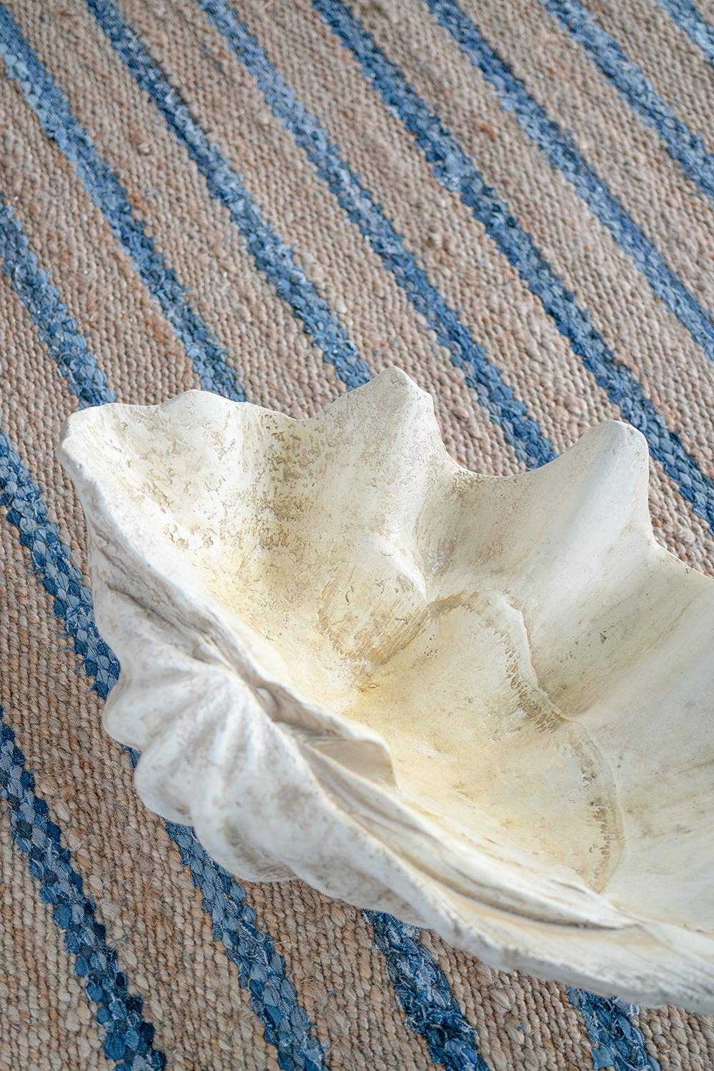 Clam Shell 25x16.5x8.5"