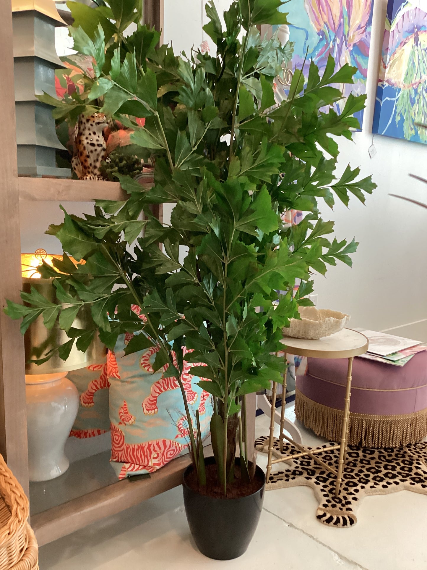 Tail Fish Palm Rotted