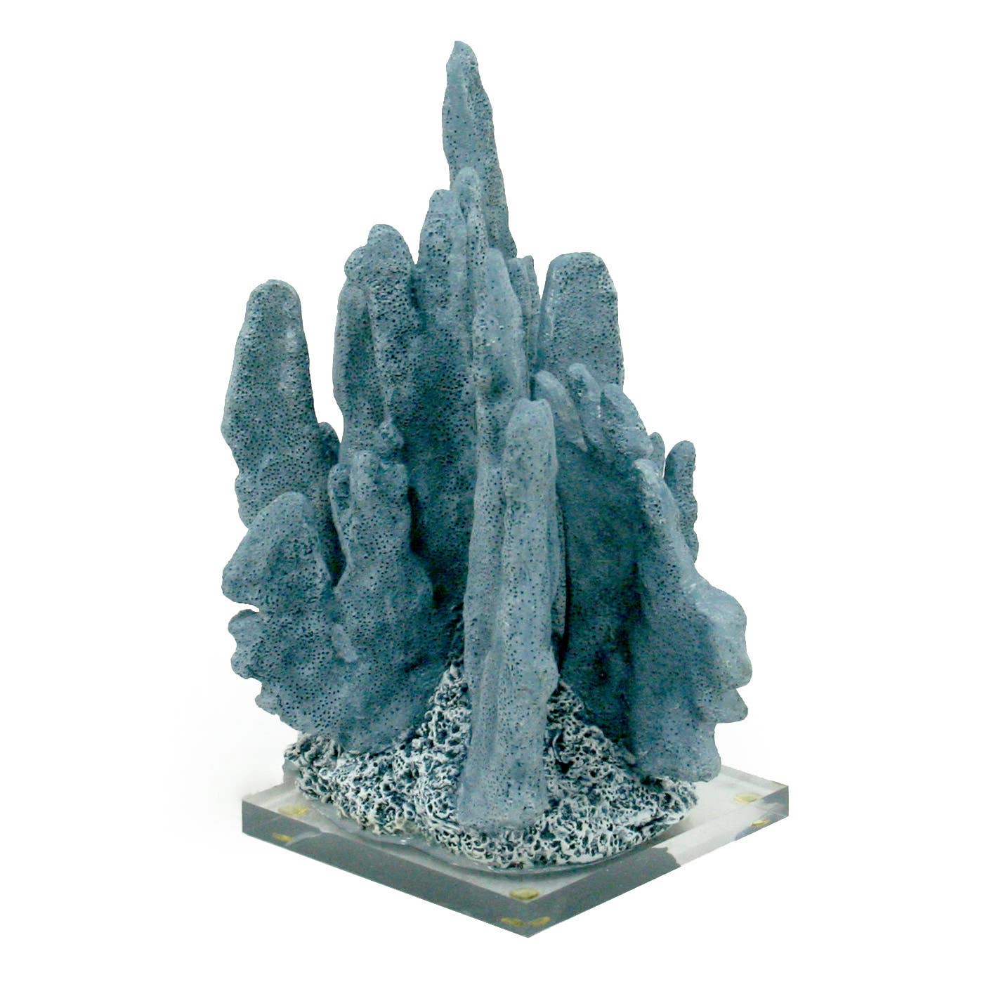 Blue Coral - Acrylic Base