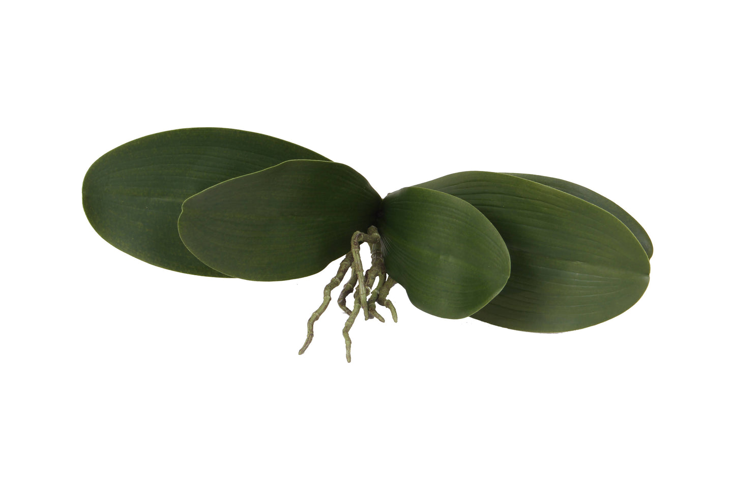 10.6" Artificial Orchid Leaves x5 Stems (12 pcs Per Box)