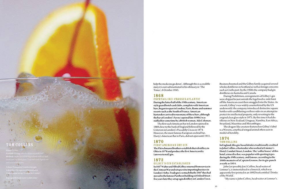 Gin: The Bartender's Bible