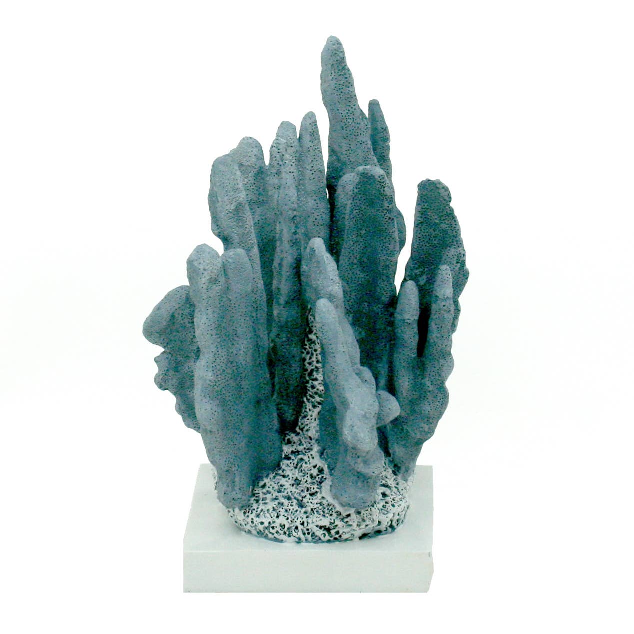 Blue Coral - White Base