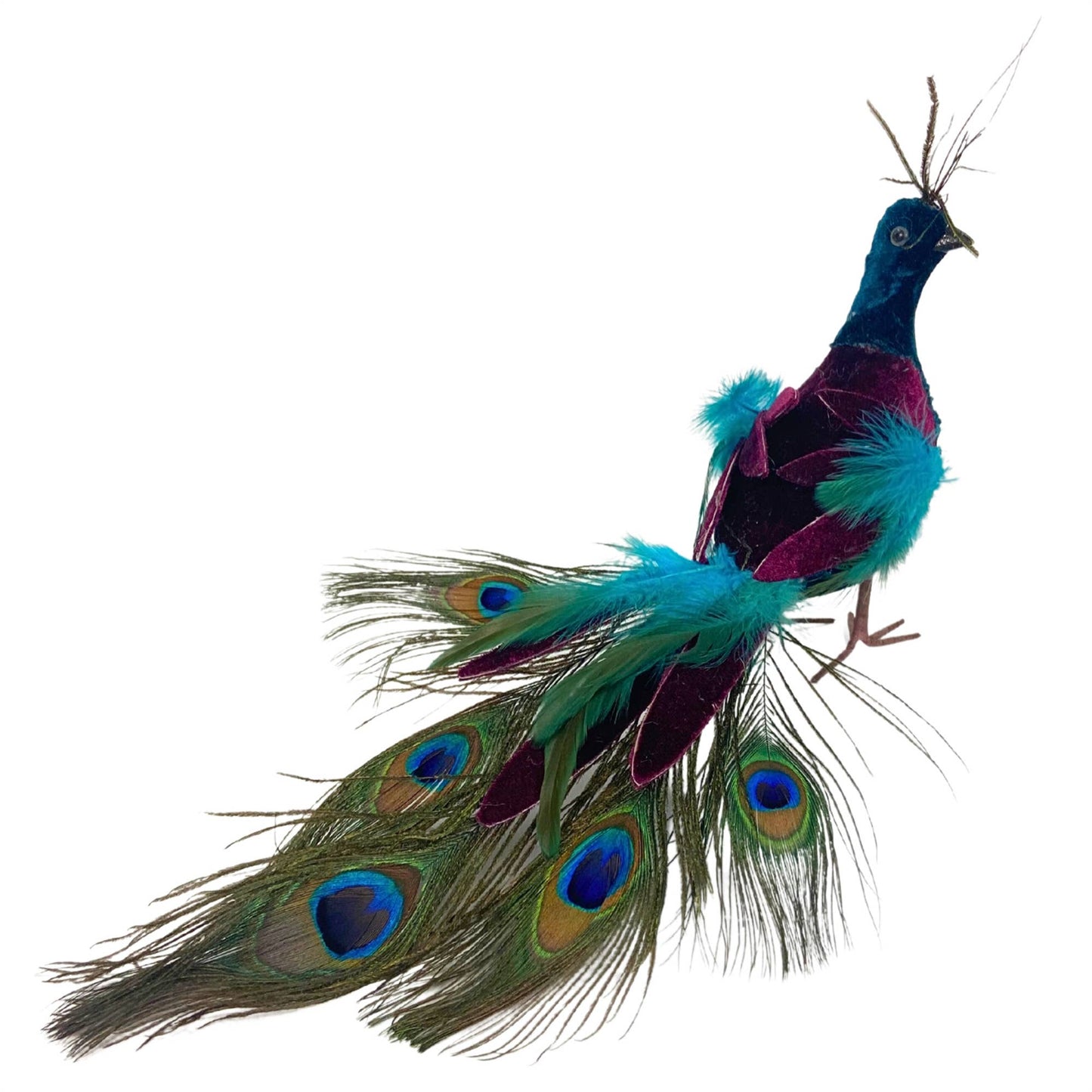 PEACOCK