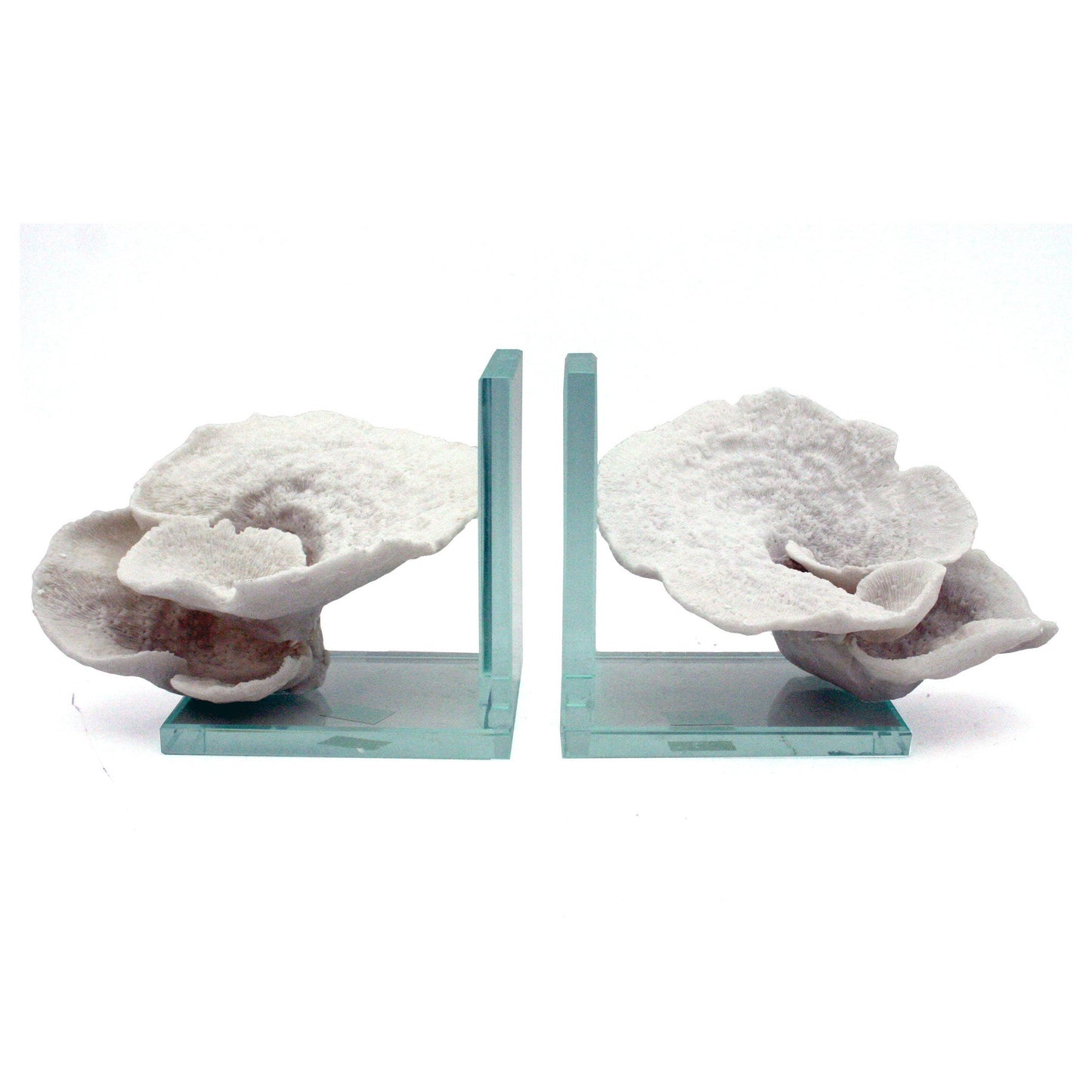 White Montipora Coral Glass Bookends Set of 2