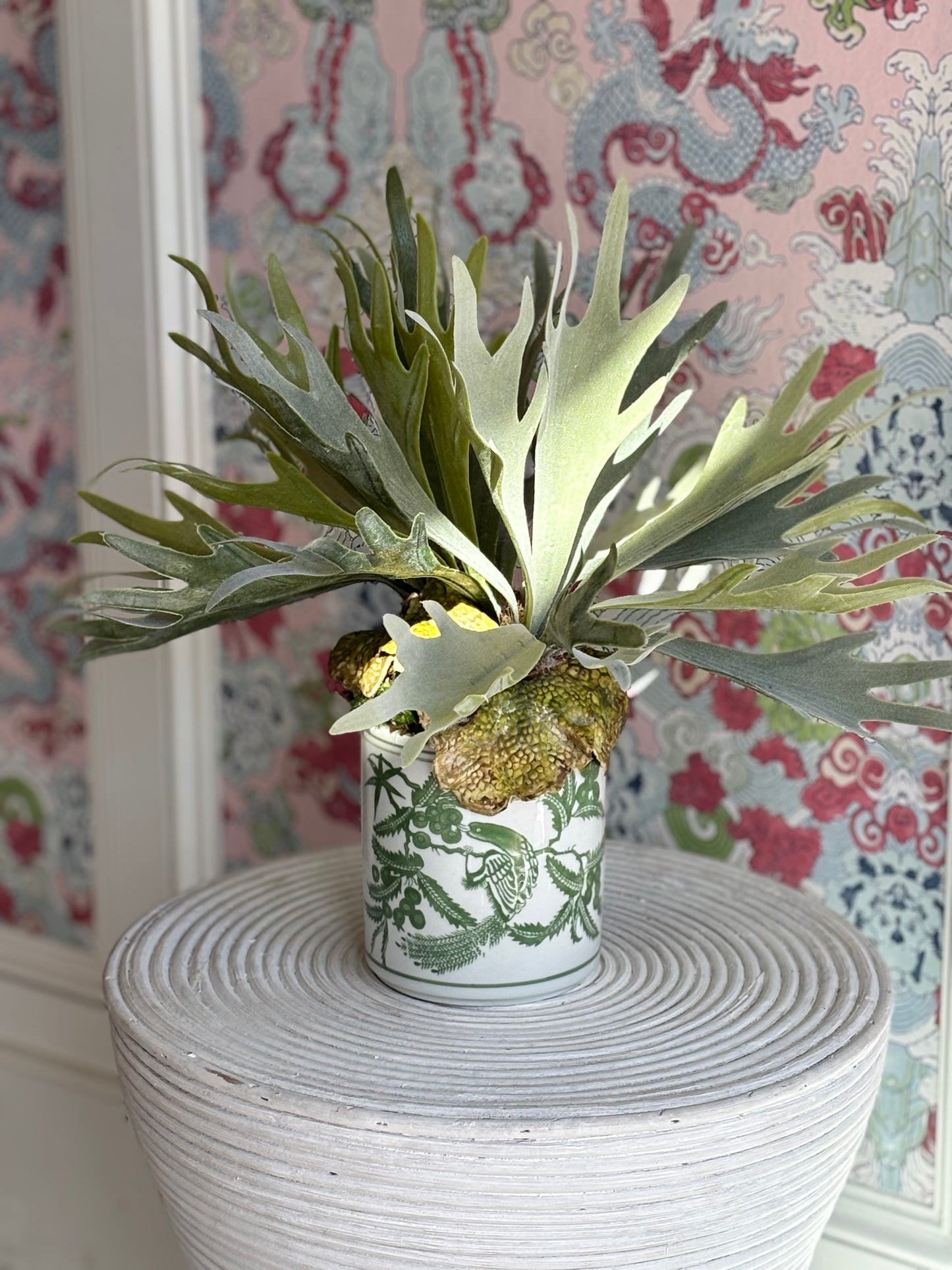 Stag Horn In Green & White Pot