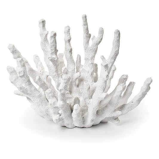 White Finger Coral - 7.5"L
