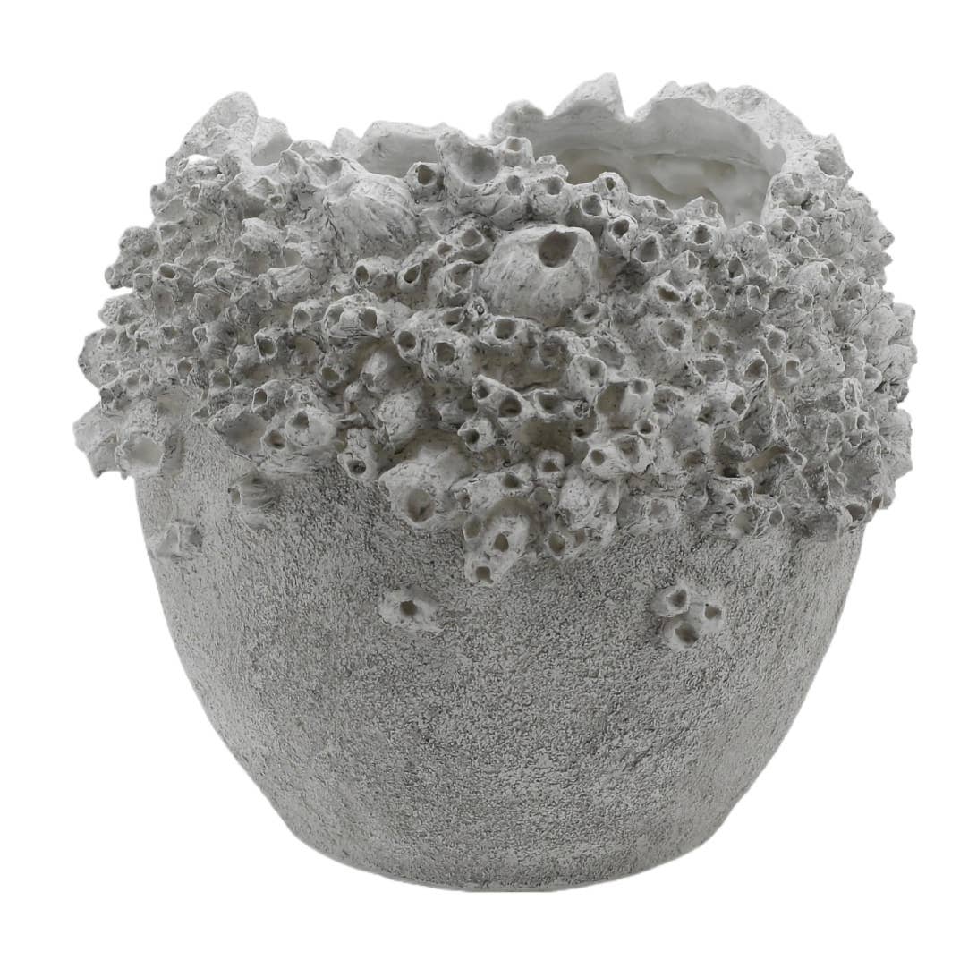 Large Barnacle Dry Vase