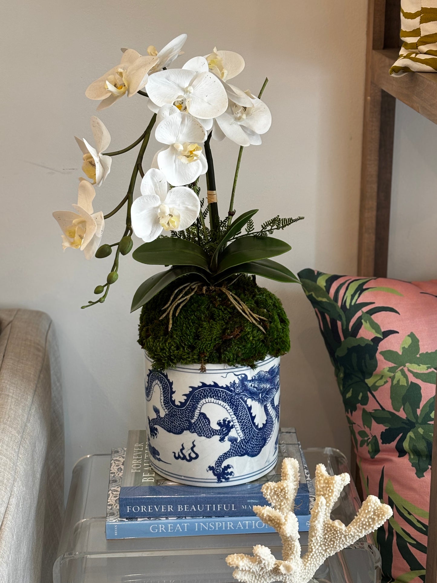 Orchid in Dragon Medium Pot