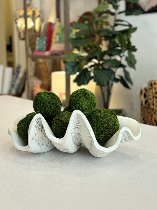 Large Grey Clam Shell