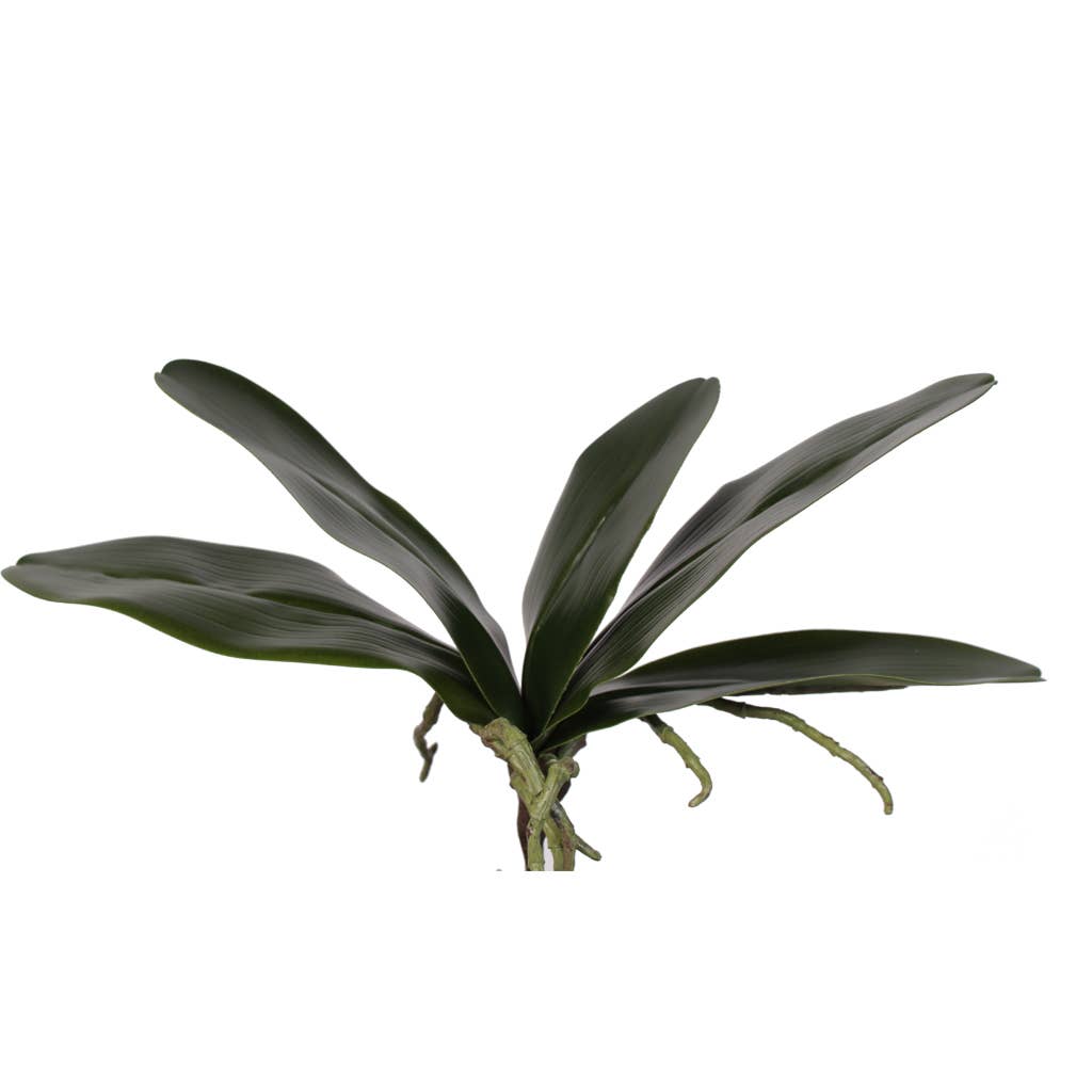 10.6" Artificial Orchid Leaves x5 Stems (12 pcs Per Box)