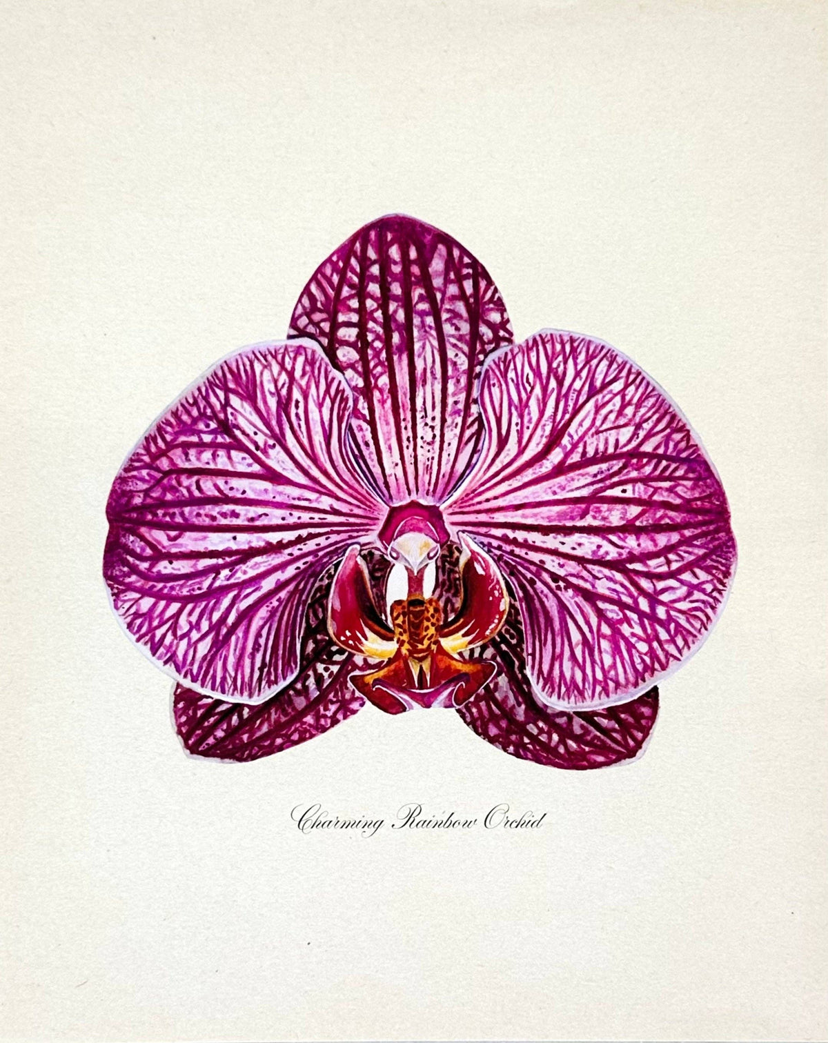 Framed Fuchsia Orchid Print
