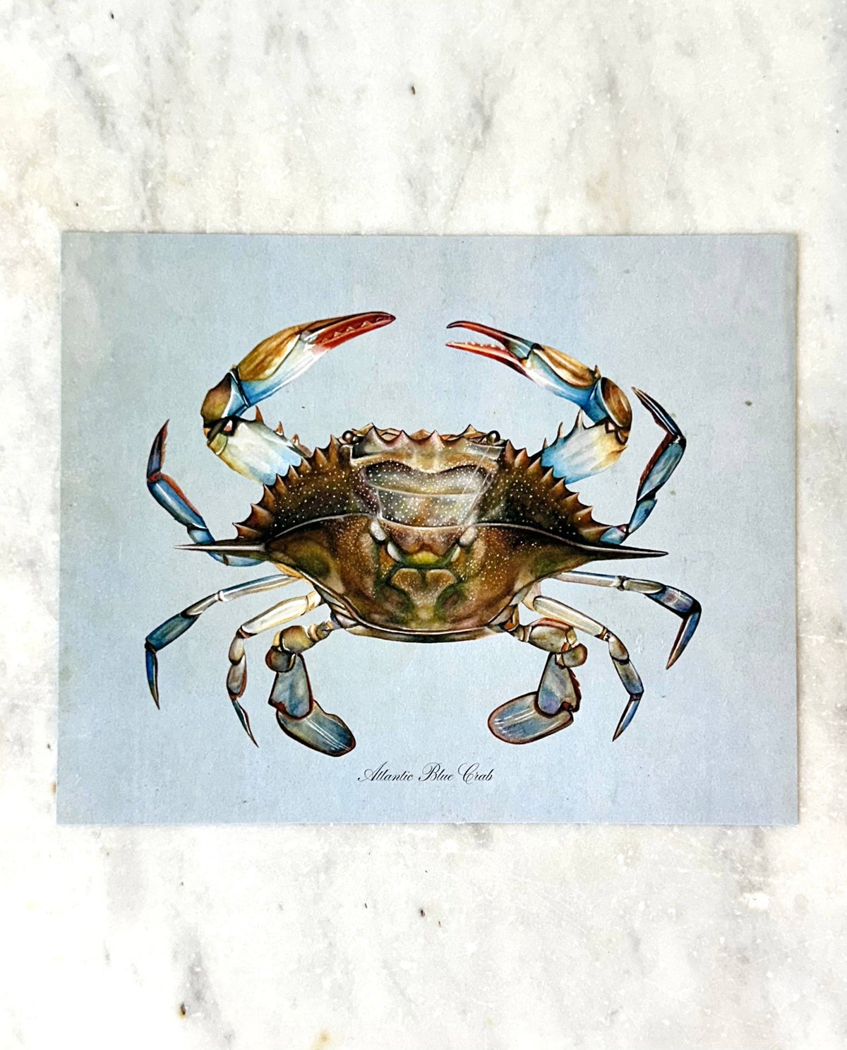 Blue Crab Print In Gold Bamboo Frame 8x10"