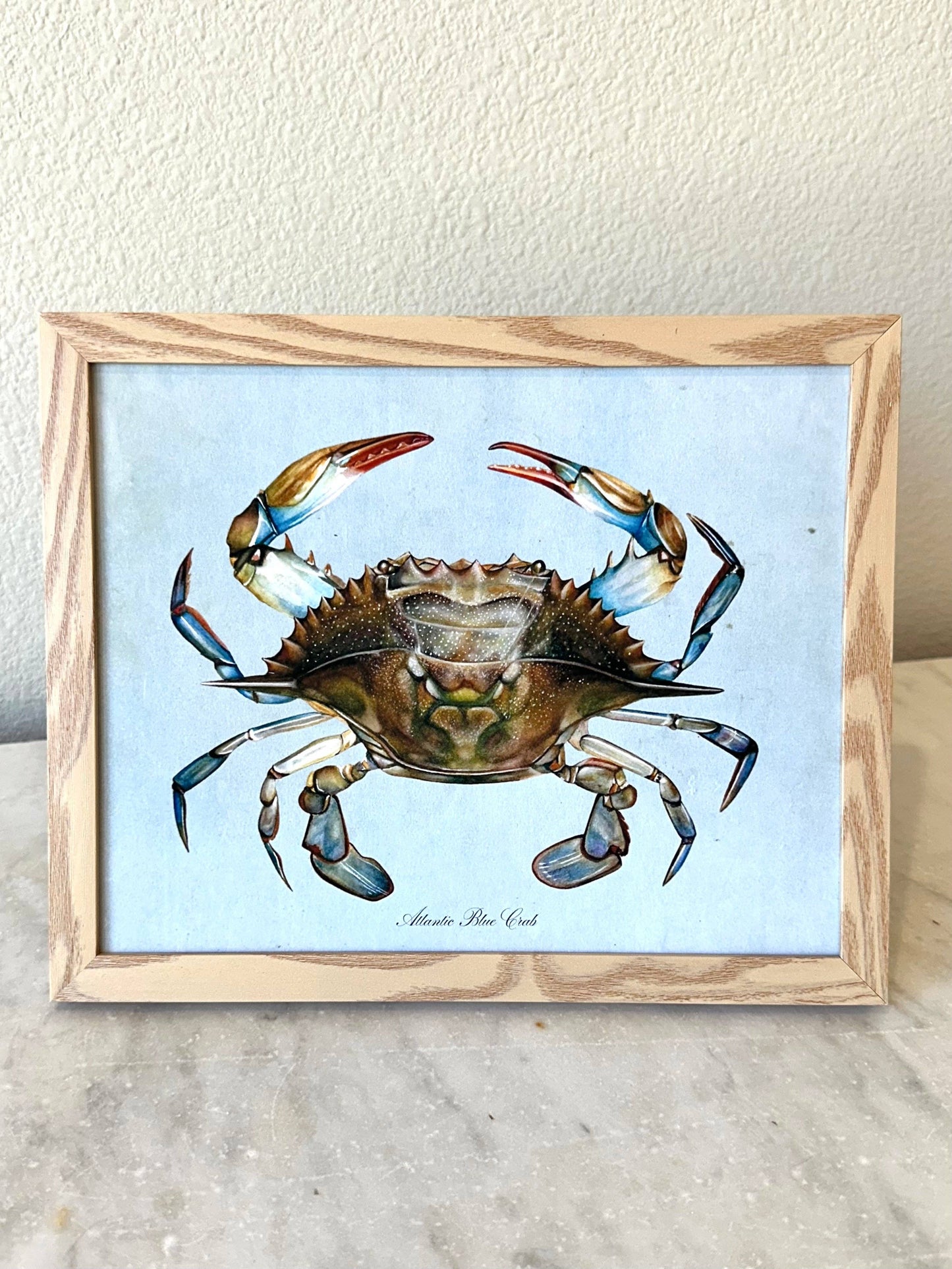 Blue Crab on Blue Print: 8x10"