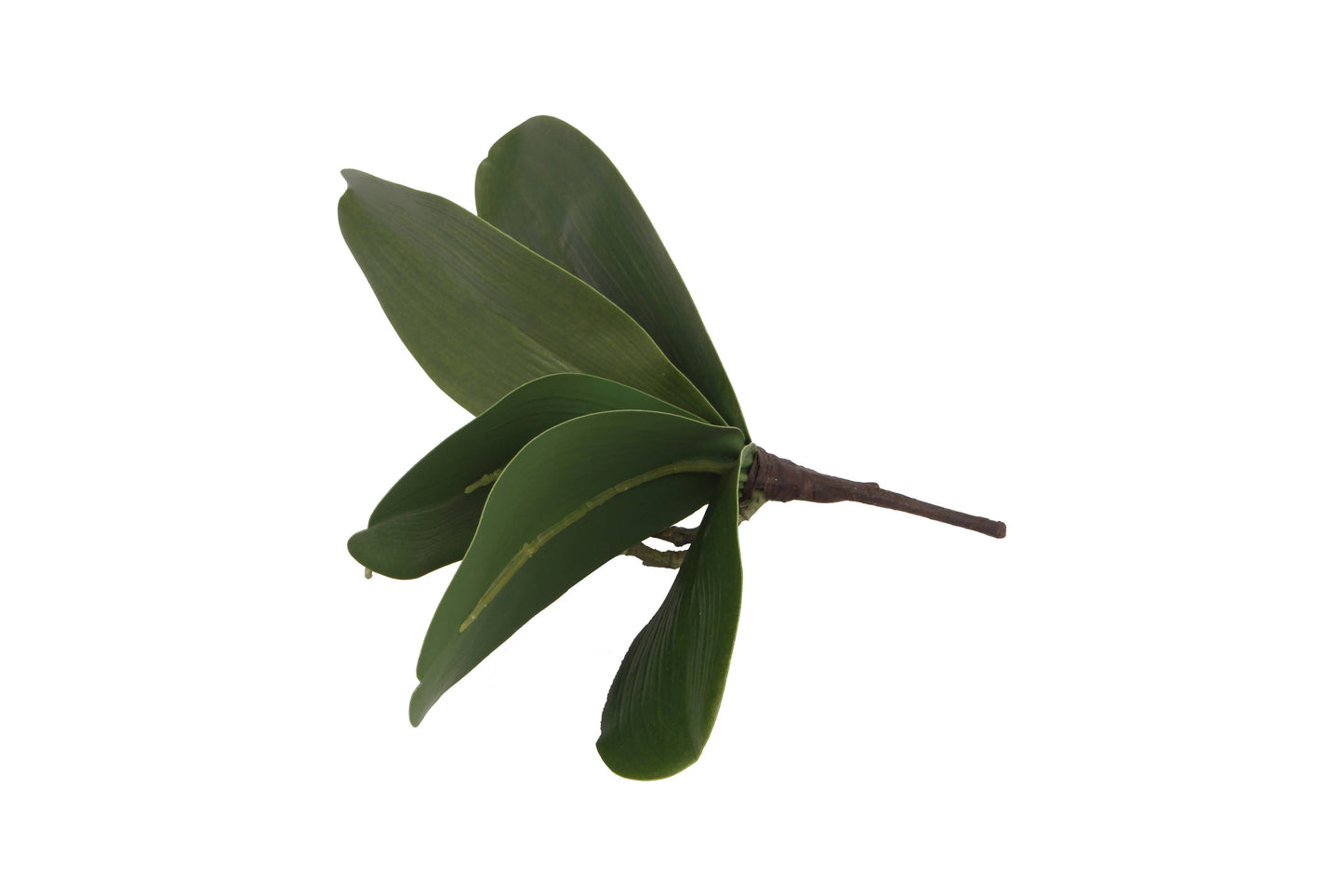 10.6" Artificial Orchid Leaves x5 Stems (12 pcs Per Box)