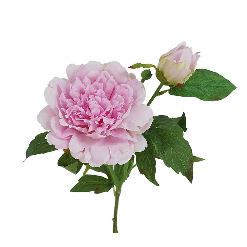 25.5"- Real Touch Peony Stem-2 Blooms: White