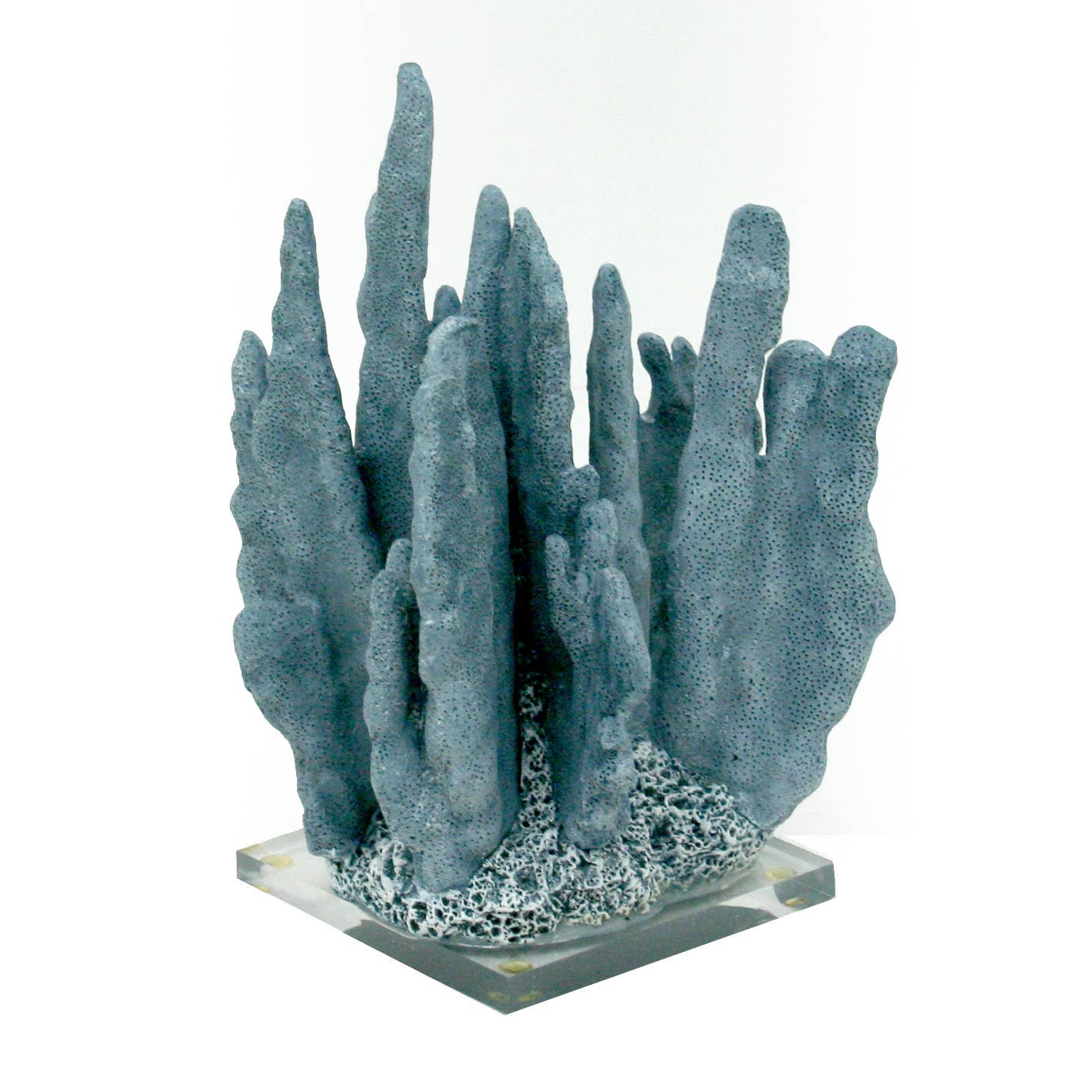 Blue Coral - Acrylic Base