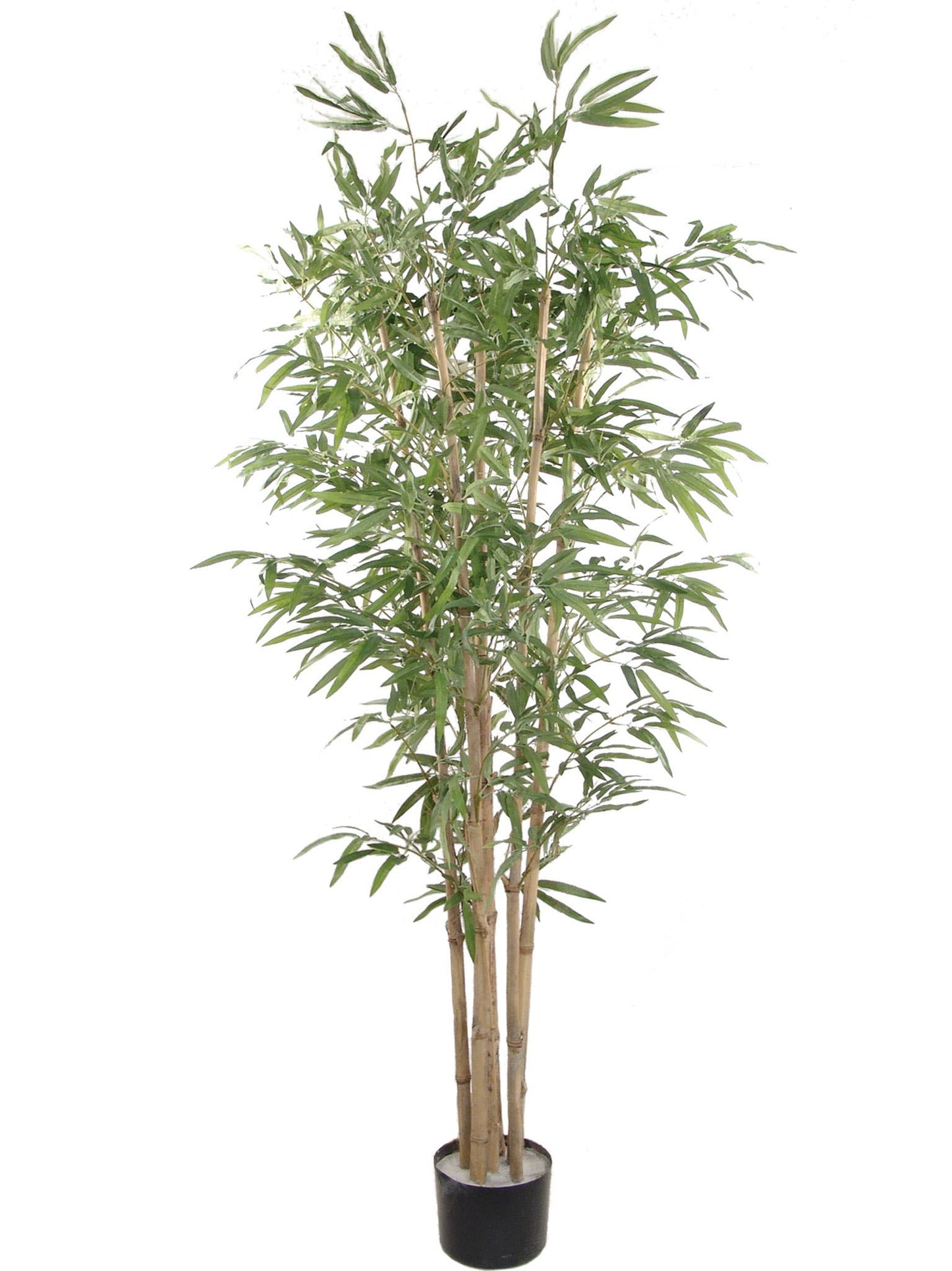 6Ft Bamboo Tree In Black Pot Indoor And Outdoor Decor