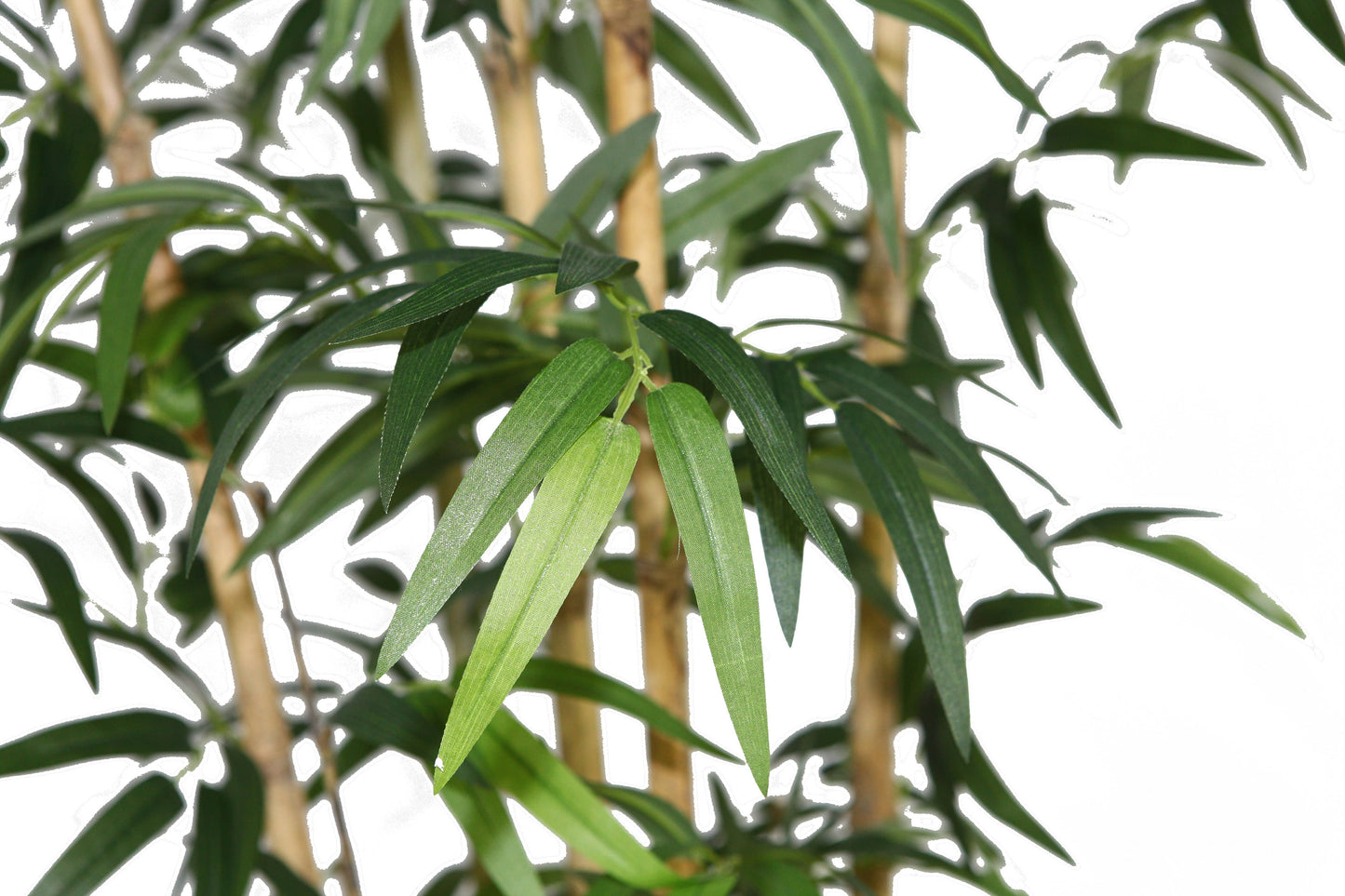 72" Tall Bamboo Tree