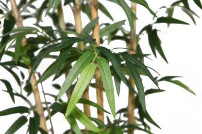72" Tall Bamboo Tree