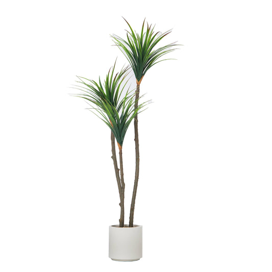 Faux Dragon Tree 53"