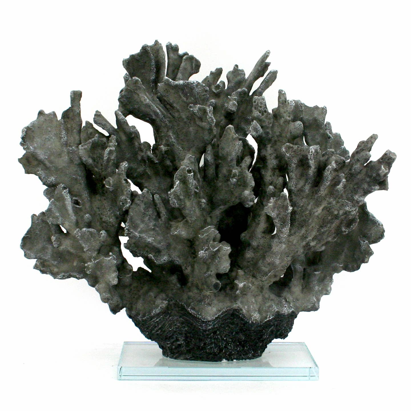 Large Grey Ridge Coral on Acrylic Base