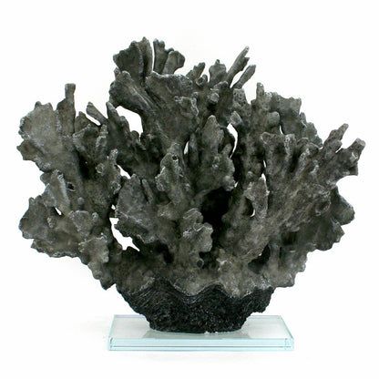 Large Grey Ridge Coral on Acrylic Base