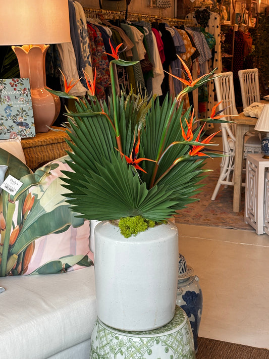 Tropical Palms in White Jar