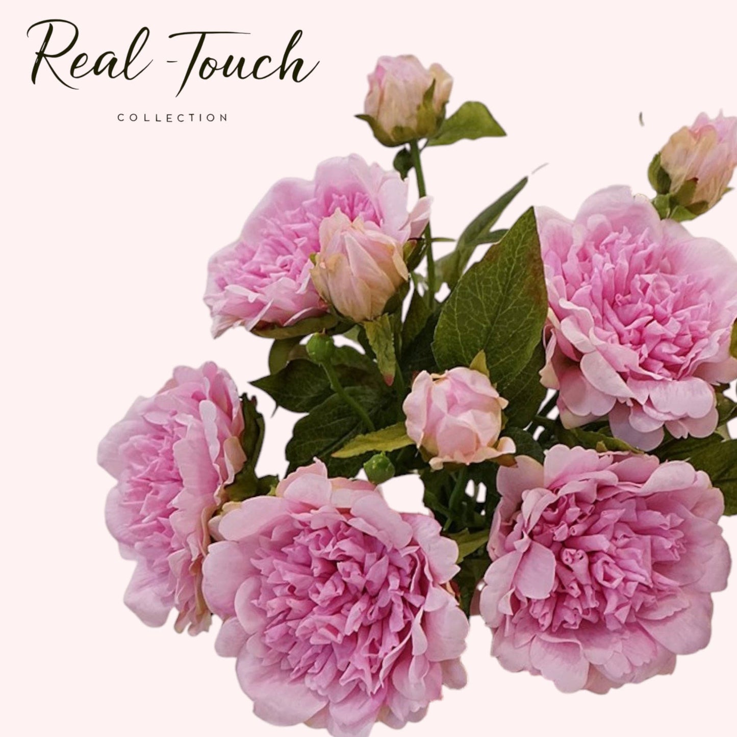 25.5"- Real Touch Peony Stem-2 Blooms: Hot Pink