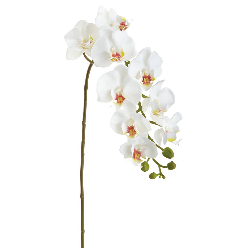 29" Real Touch Phalaenopsis Orchid Spray With 9 Flowers White