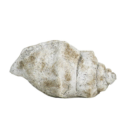 Cast Concrete Conch Shell: Small