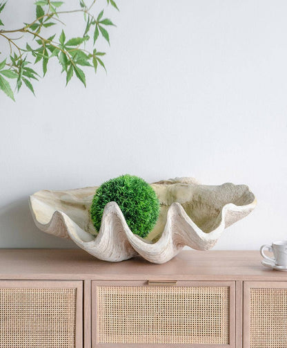 Clam Shell 25x16.5x8.5"
