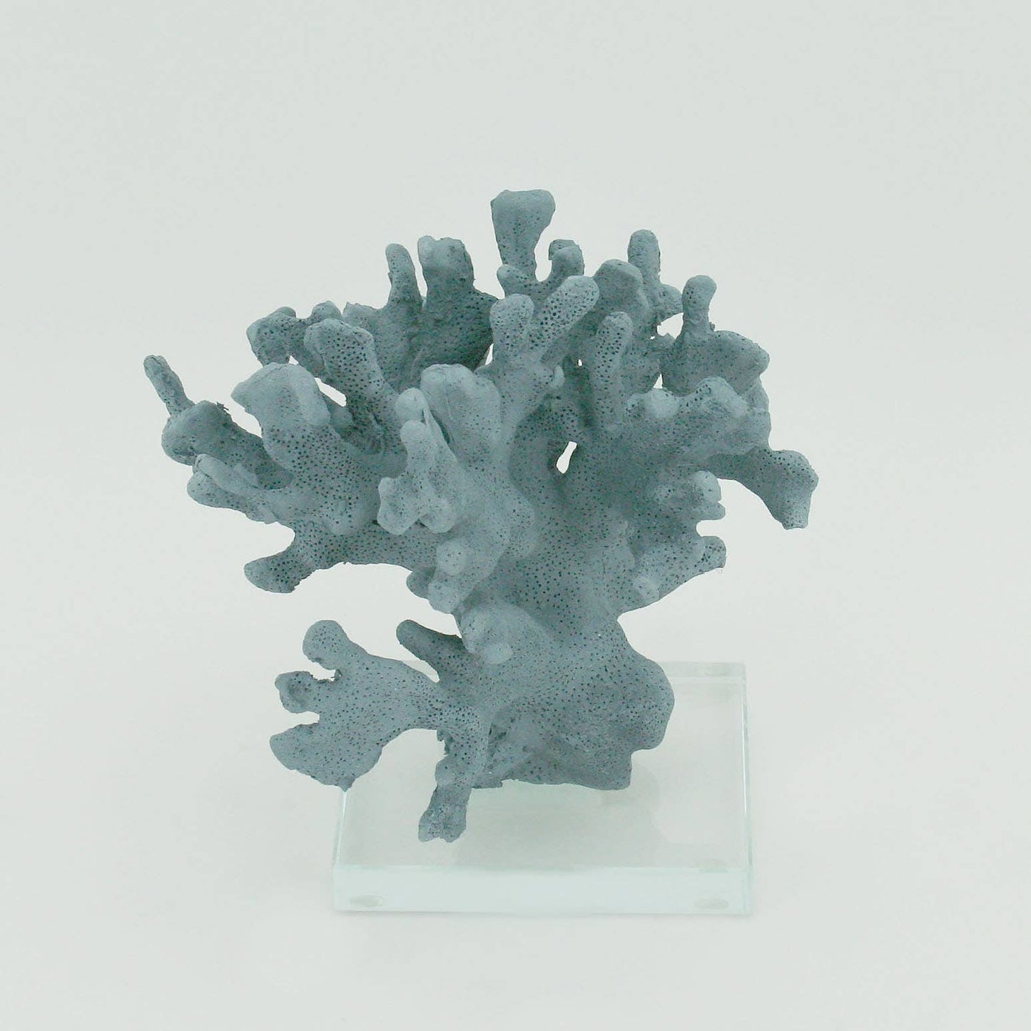 Indigo Ridge Coral