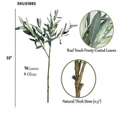 Olive Branch 32"