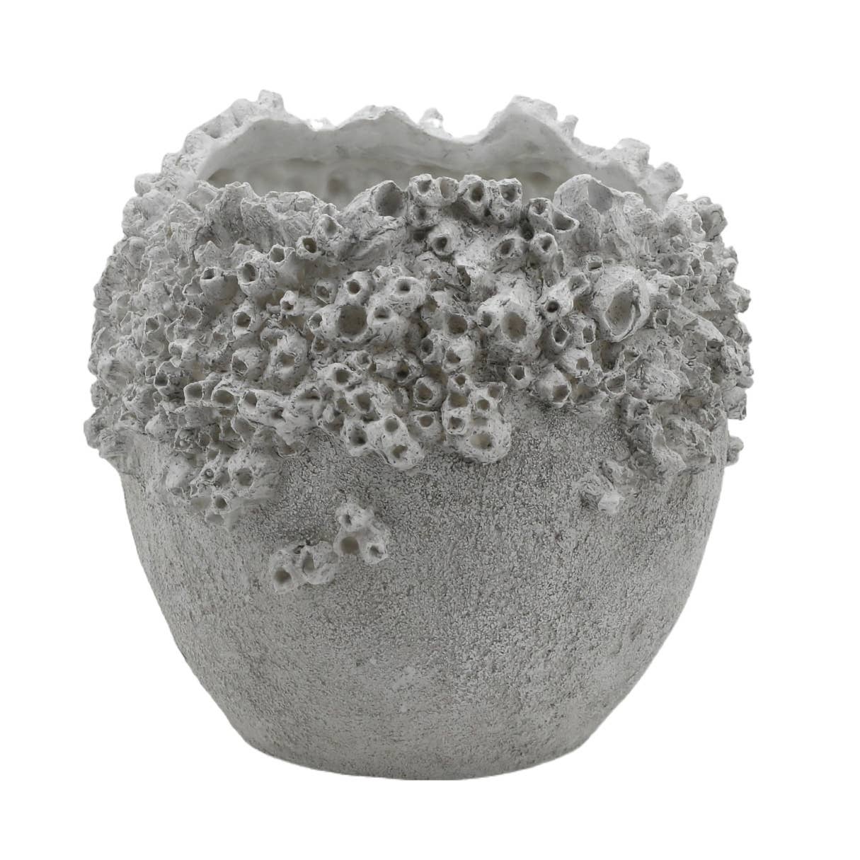 Large Barnacle Dry Vase