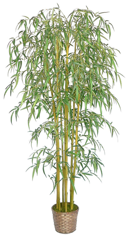 Tall Bamboo Tree With Planter 72"