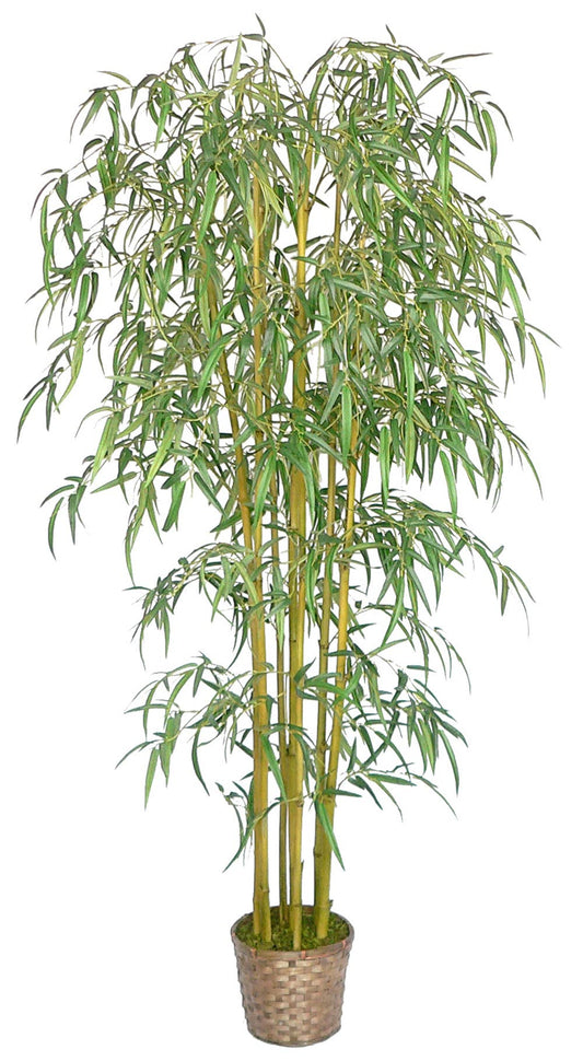 Tall Bamboo Tree With Planter 72"