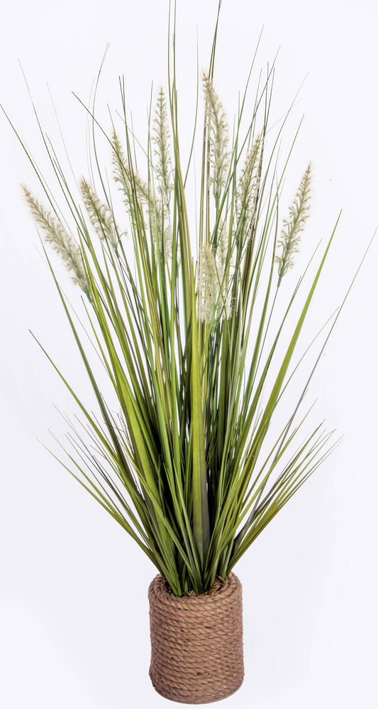 Onion Grass 40"