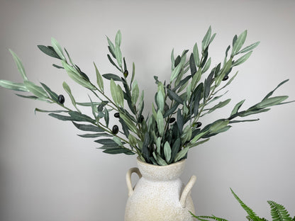 Olive Branch 32"
