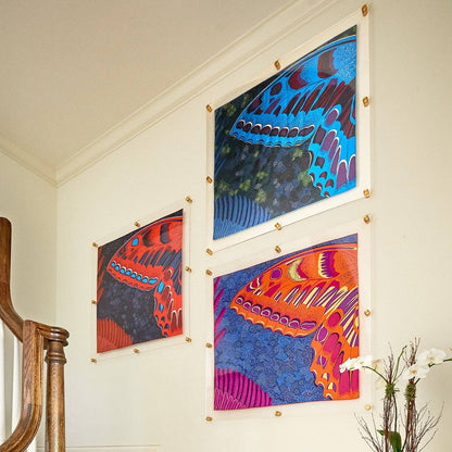 30x40" Modern UV-Grade Acrylic Floating Wall Frame: Gold