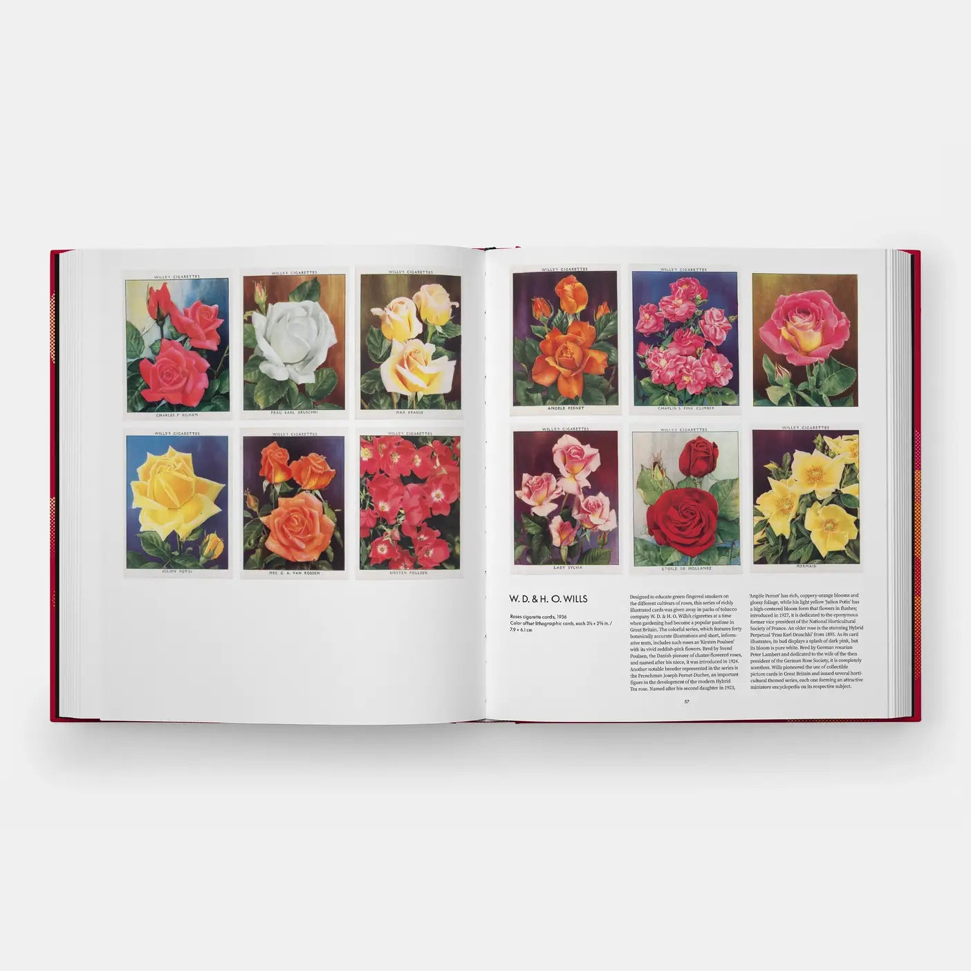 The Rose Book