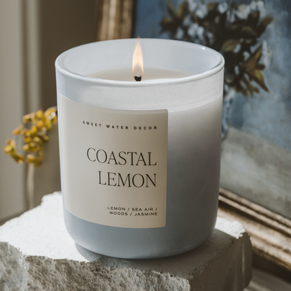 Coastal Lemon 15 oz Soy Candle, Matte Jar - Home Decor