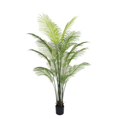 Palm Tree 70"