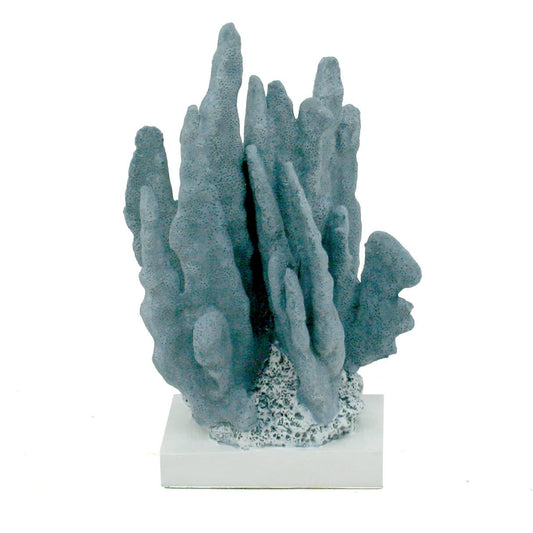 Blue Coral - White Base