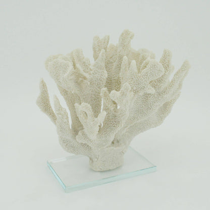 White Large Bearpaw Coral On Acrylic Base