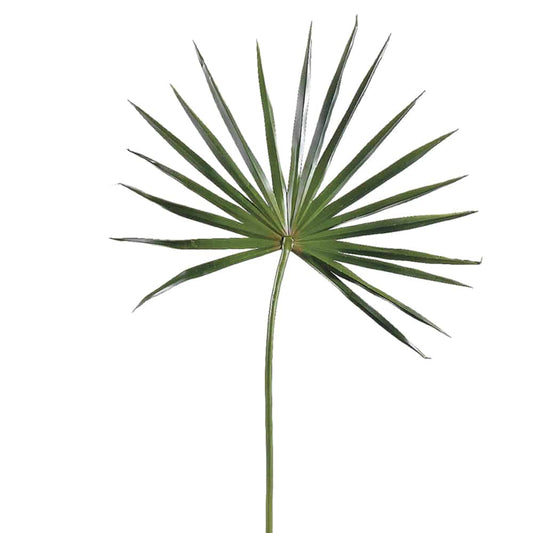 Fan Palm Spray Green | 28"